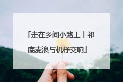 走在乡间小路上丨祁底麦浪与机杼交响
