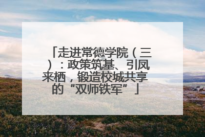 走进常德学院（三）：政策筑基、引凤来栖，锻造校城共享的“双师铁军”