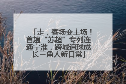 走，客场变主场！首趟“苏超”专列连通宁淮，跨城追球成长三角人新日常