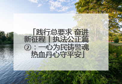 践行总要求 奋进新征程丨执法公正篇②：一心为民铸警魂 热血丹心守平安