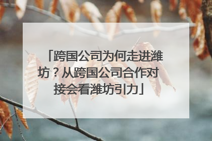 跨国公司为何走进潍坊？从跨国公司合作对接会看潍坊引力