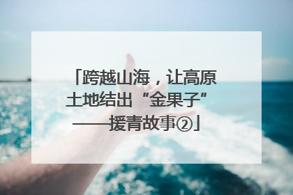 跨越山海，让高原土地结出“金果子”——援青故事②