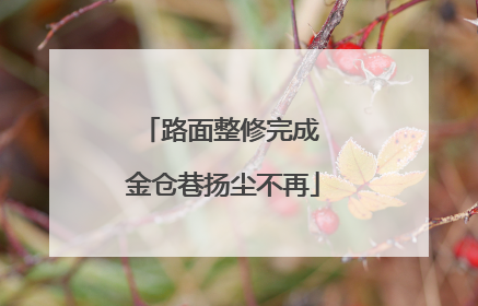 路面整修完成 金仓巷扬尘不再