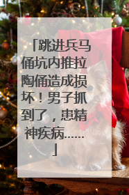 跳进兵马俑坑内推拉陶俑造成损坏！男子抓到了，患精神疾病……