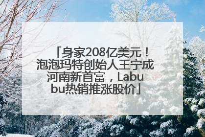 身家208亿美元！泡泡玛特创始人王宁成河南新首富，Labubu热销推涨股价