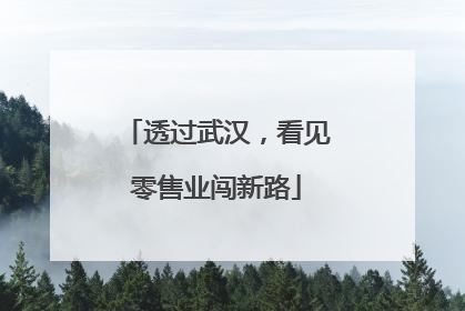 透过武汉，看见零售业闯新路