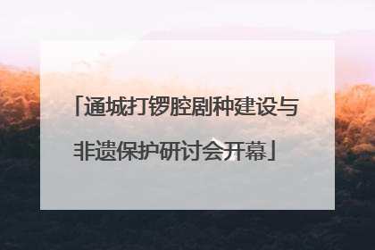 通城打锣腔剧种建设与非遗保护研讨会开幕