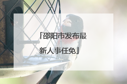 邵阳市发布最新人事任免