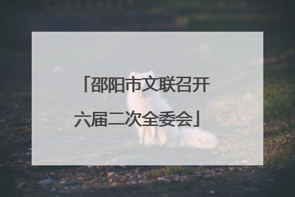 邵阳市文联召开六届二次全委会