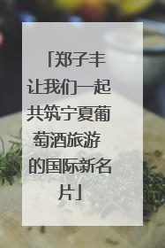 郑子丰 让我们一起共筑宁夏葡萄酒旅游 的国际新名片