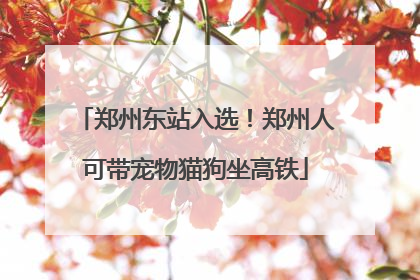 郑州东站入选！郑州人可带宠物猫狗坐高铁