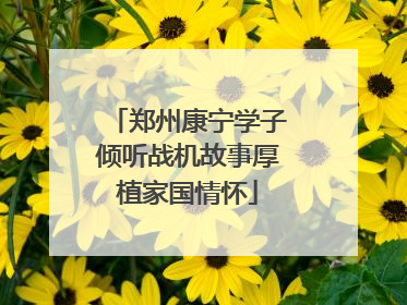 郑州康宁学子倾听战机故事厚植家国情怀