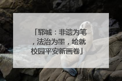 郓城：非遗为笔，法治为墨，绘就校园平安新画卷