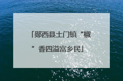 郧西县土门镇“椒”香四溢富乡民