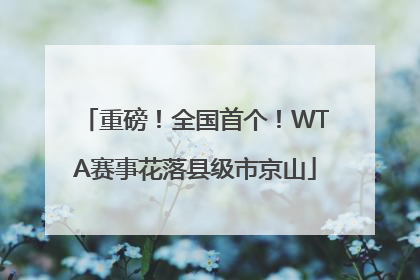 重磅！全国首个！WTA赛事花落县级市京山