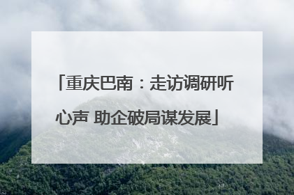 重庆巴南：走访调研听心声 助企破局谋发展