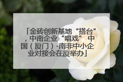 金砖创新基地“搭台”，中南企业“唱戏” 中国（厦门）-南非中小企业对接会在厦举办