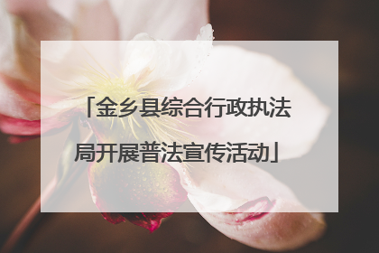 金乡县综合行政执法局开展普法宣传活动