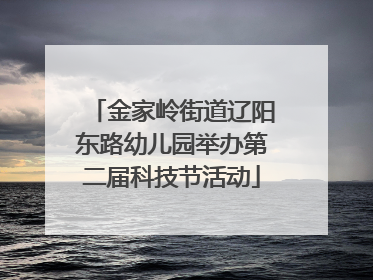 金家岭街道辽阳东路幼儿园举办第二届科技节活动