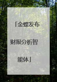 金蝶发布财报分析智能体
