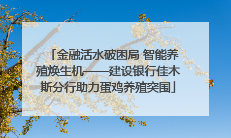 金融活水破困局 智能养殖焕生机——建设银行佳木斯分行助力蛋鸡养殖突围