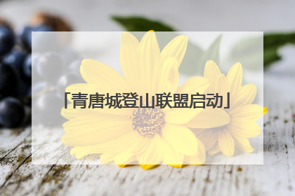 青唐城登山联盟启动