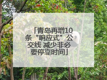 青岛再增10条“响应式”公交线 减少非必要停靠时间