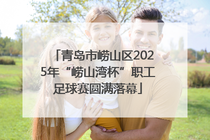 青岛市崂山区2025年“崂山湾杯”职工足球赛圆满落幕