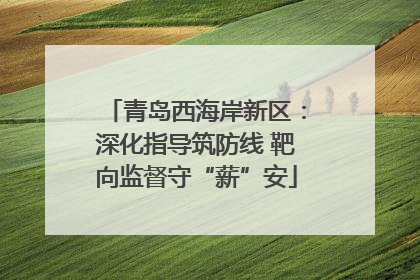 青岛西海岸新区：深化指导筑防线 靶向监督守“薪”安
