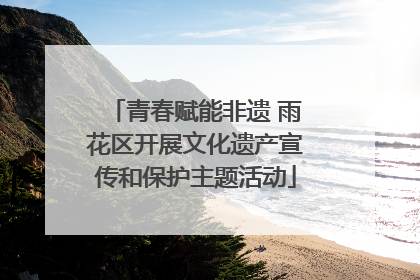 青春赋能非遗 雨花区开展文化遗产宣传和保护主题活动