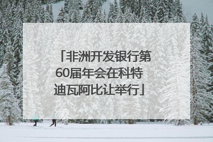非洲开发银行第60届年会在科特迪瓦阿比让举行