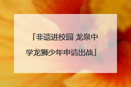 非遗进校园 龙泉中学龙狮少年申请出战