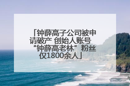钟薛高子公司被申请破产 创始人账号“钟薛高老林”粉丝仅1800余人