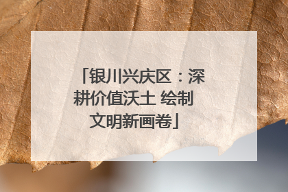 银川兴庆区：深耕价值沃土 绘制文明新画卷
