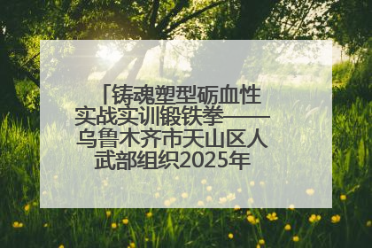 铸魂塑型砺血性 实战实训锻铁拳——乌鲁木齐市天山区人武部组织2025年度民兵集中轮训