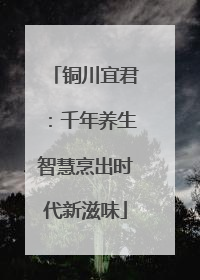 铜川宜君：千年养生智慧烹出时代新滋味