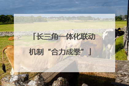长三角一体化联动机制“合力成拳”