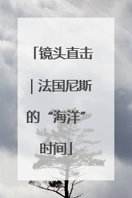 镜头直击｜法国尼斯的“海洋”时间