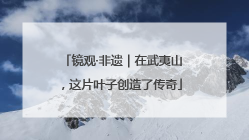 镜观·非遗｜在武夷山，这片叶子创造了传奇