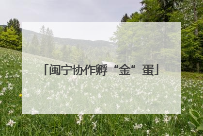 闽宁协作孵“金”蛋