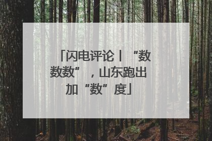 闪电评论丨“数数数”，山东跑出加“数”度