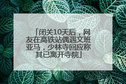 闭关10天后，网友在高铁站偶遇文班亚马，少林寺回应称其已离开寺院
