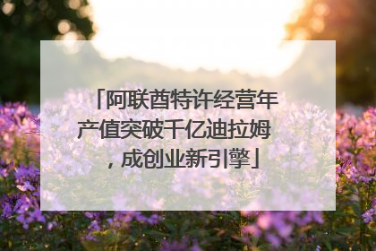 阿联酋特许经营年产值突破千亿迪拉姆，成创业新引擎