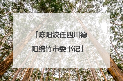 陈阳波任四川德阳绵竹市委书记