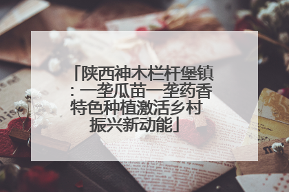 陕西神木栏杆堡镇：一垄瓜苗一垄药香 特色种植激活乡村振兴新动能