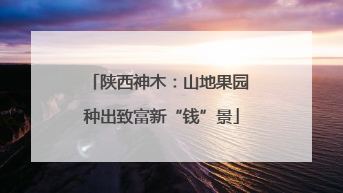 陕西神木：山地果园种出致富新“钱”景