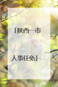 陕西一市人事任免