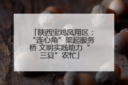 陕西宝鸡凤翔区：“连心角”架起服务桥 文明实践助力“三夏”农忙