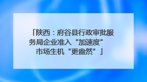 陕西：府谷县行政审批服务局企业准入“加速度” 市场生机“更盎然”