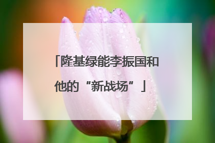 隆基绿能李振国和他的“新战场”